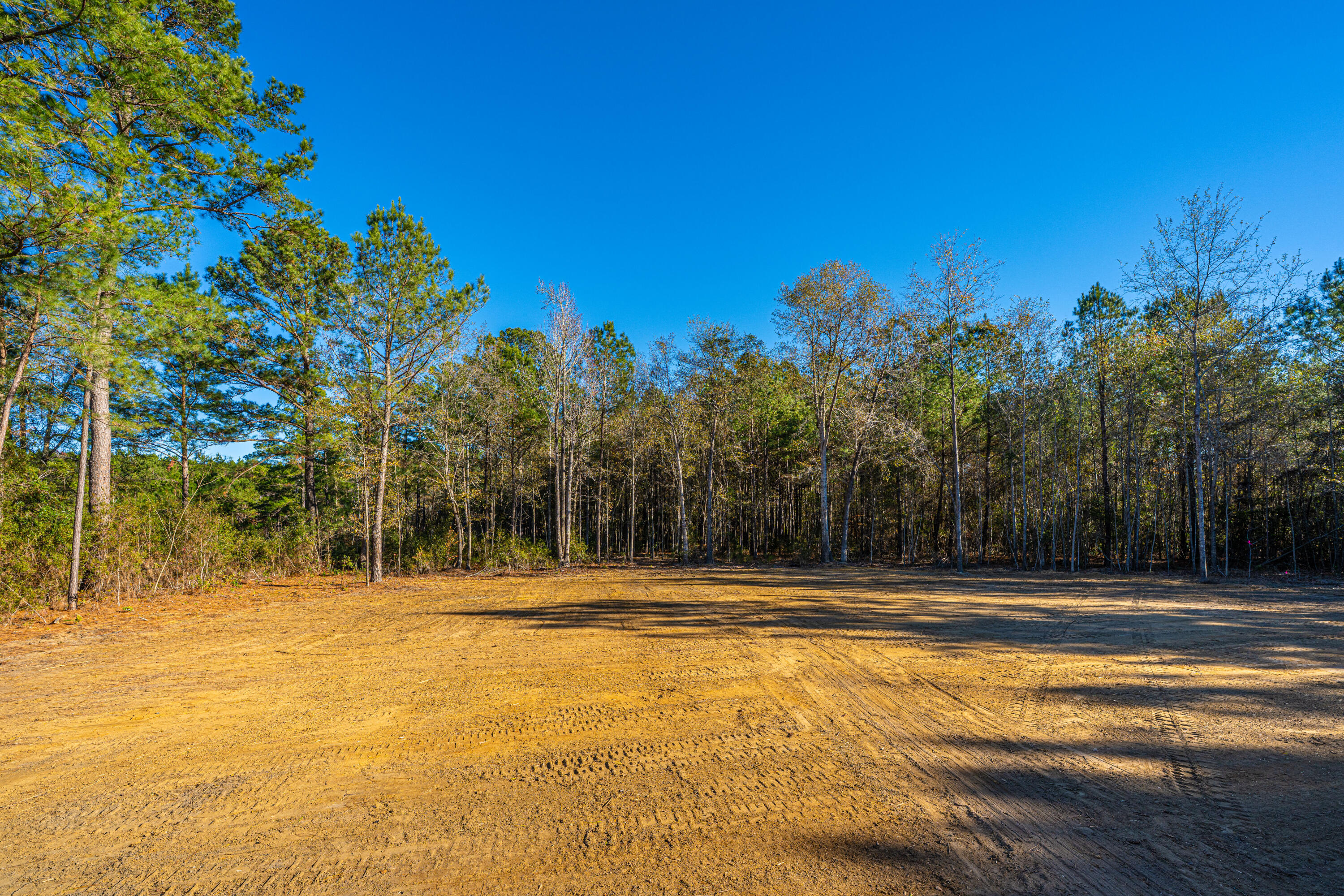 2896 Harristown Road St. Stephen, SC 29479 - Photo 44 of 101 2896HarristownRd043