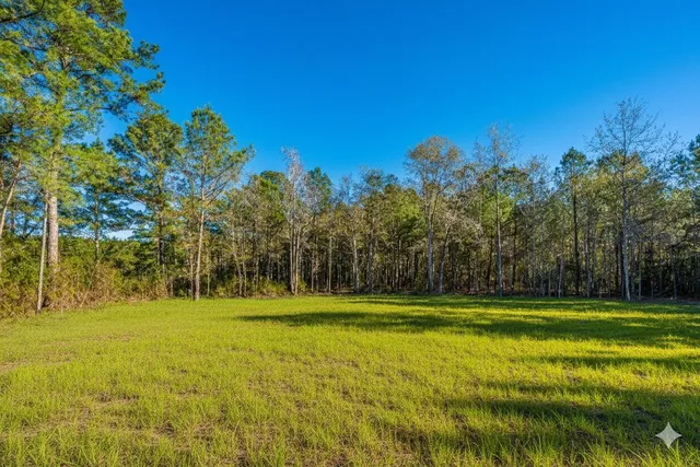 $285,000 | 2896 Harristown Road, St. Stephen, SC 29479