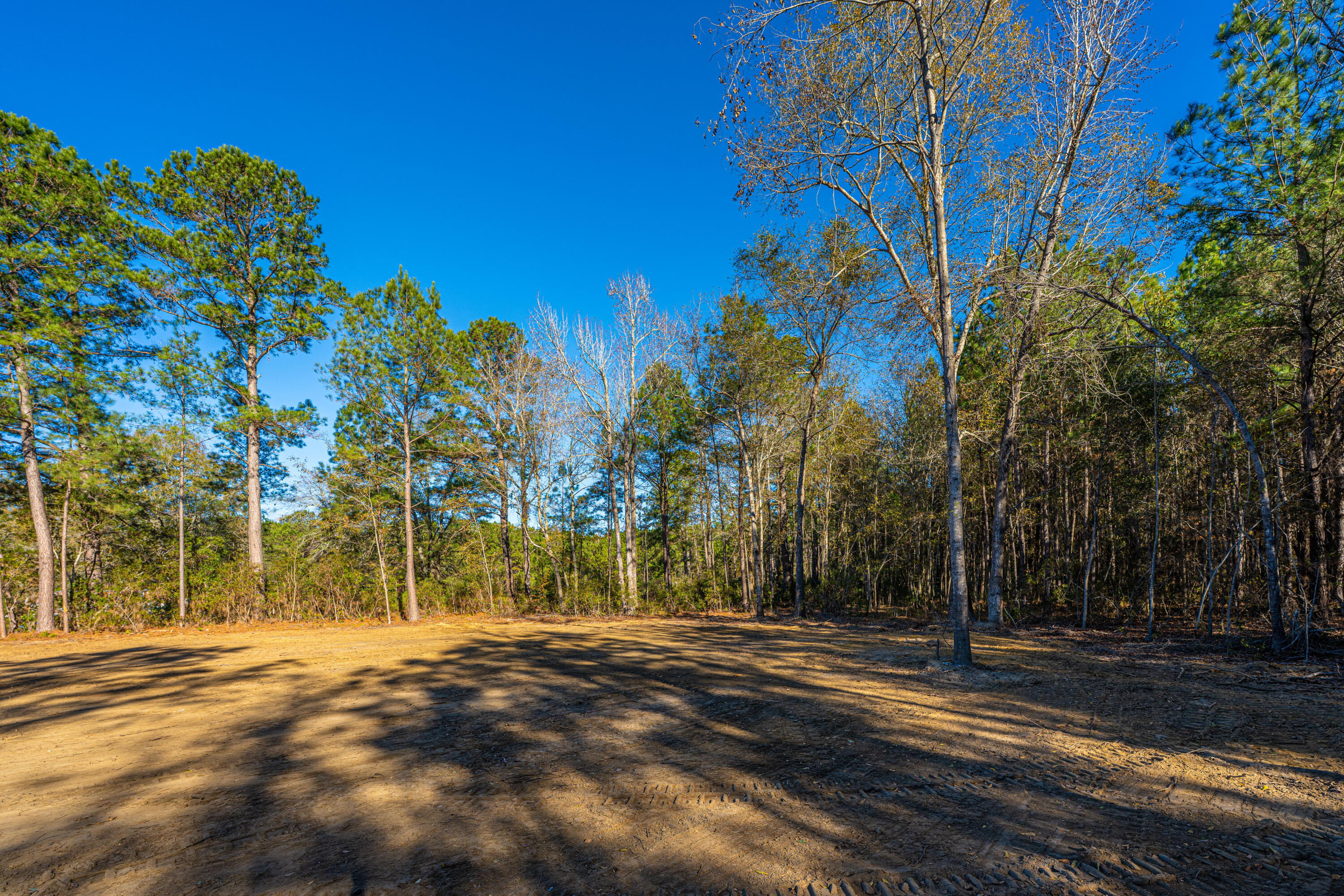 2896 Harristown Road St. Stephen, SC 29479 - Photo 49 of 101 2896HarristownRd048