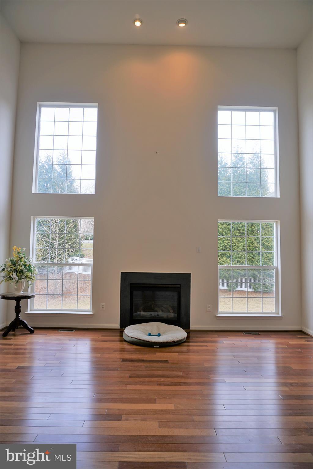 14516 Bubbling Spring Road Boyds, MD 20841 - Photo 3 of 24 2-story family room