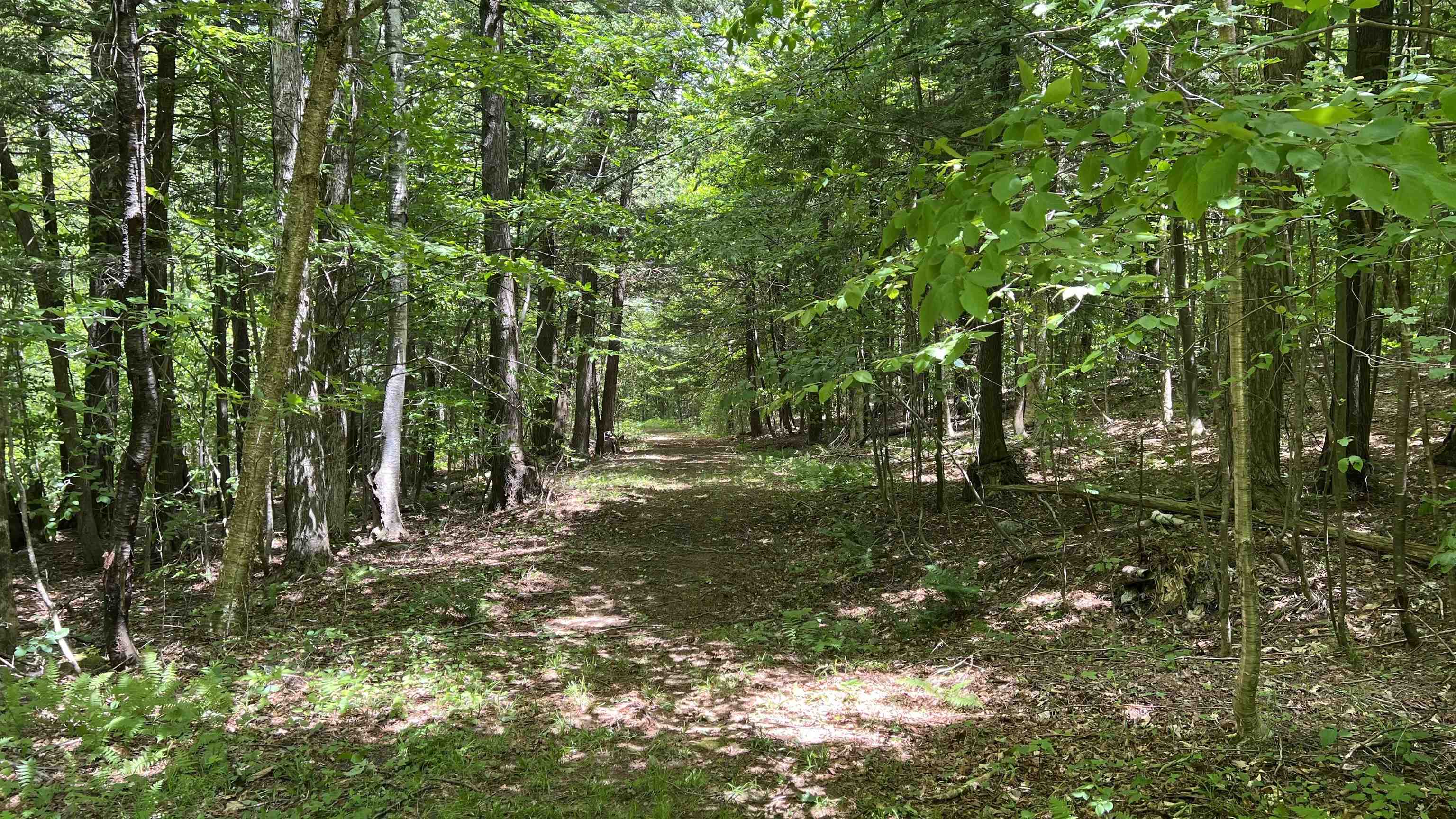 412 Hall Ranch Road Grafton, VT 05146 - Photo 48 of 48