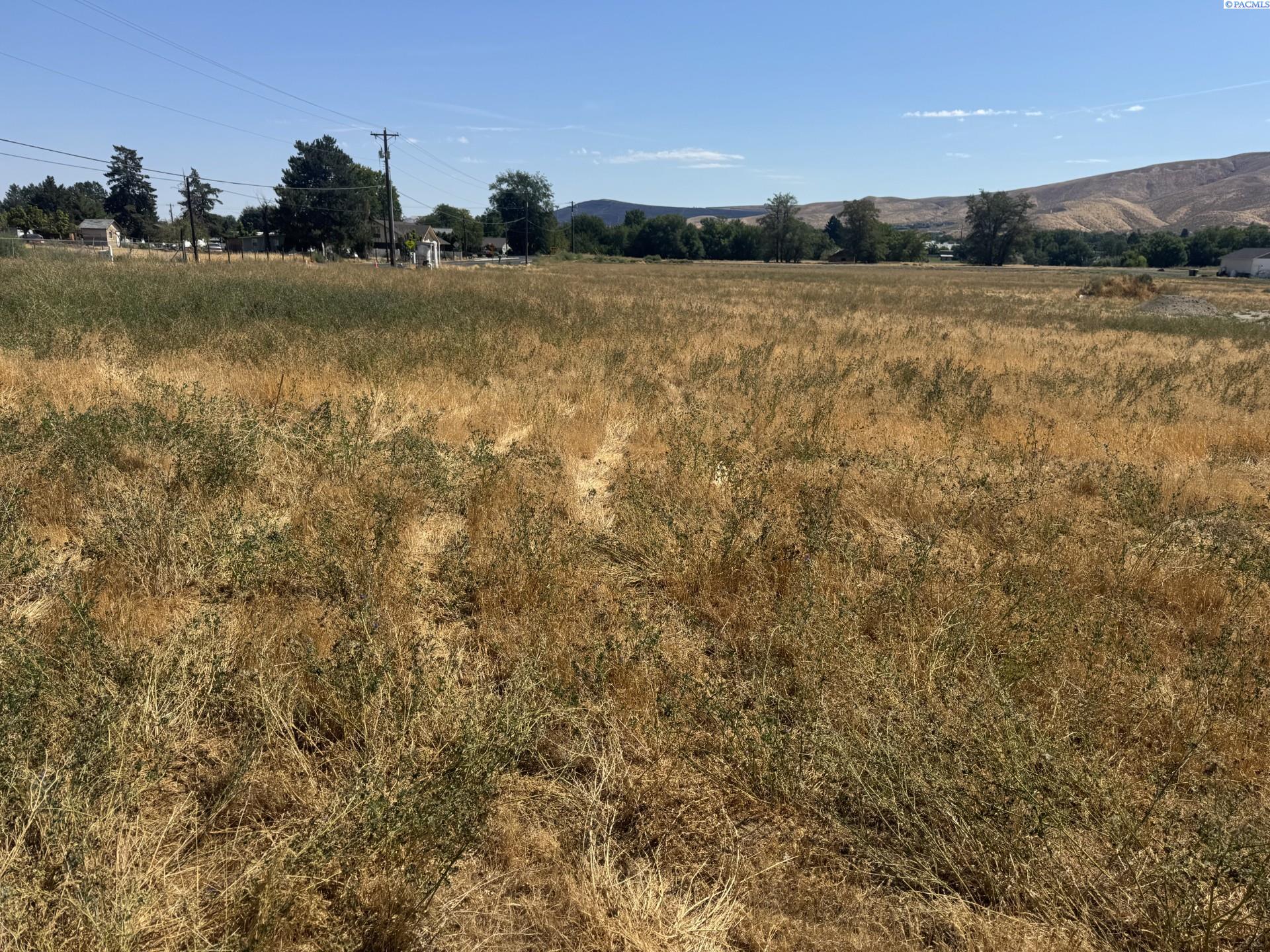 5811 South Moore Road, Unit LOT 1 Prosser, WA 99350 - Photo 6 of 7 Gallery Image 6
