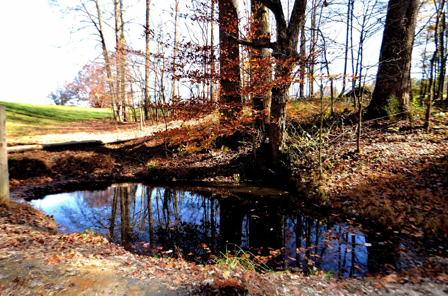 144 Opossum Run Road Irvine, KY 40336 - Photo 5 of 34 Fresh mountain spring water for you and
