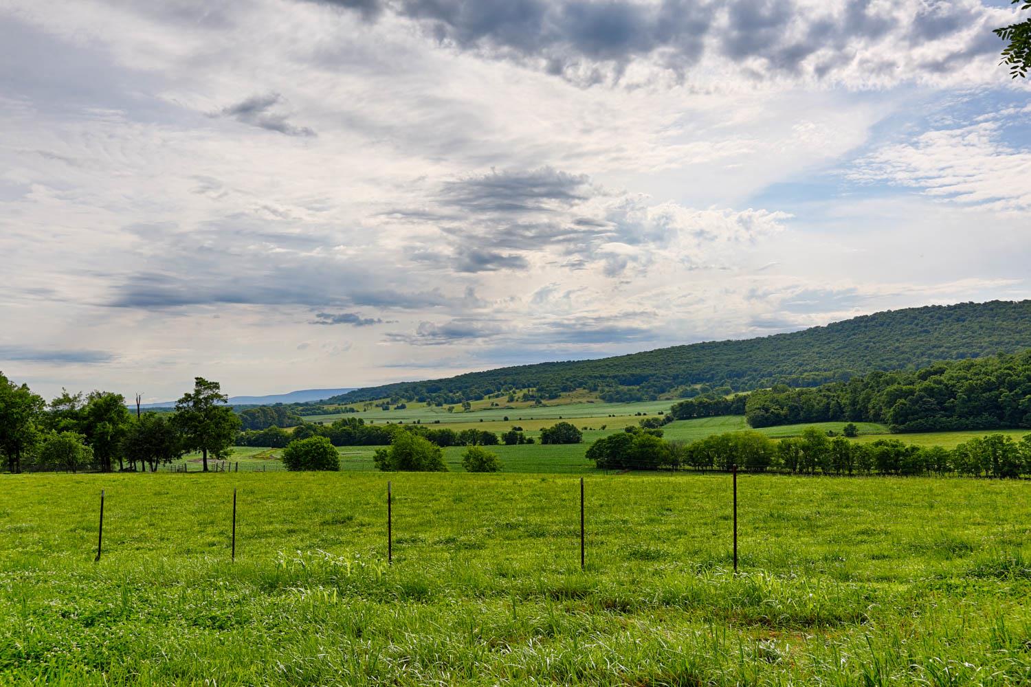 0 Mountain Road Elora, TN 37328 - Photo 8 of 9 a view of field with grassy field