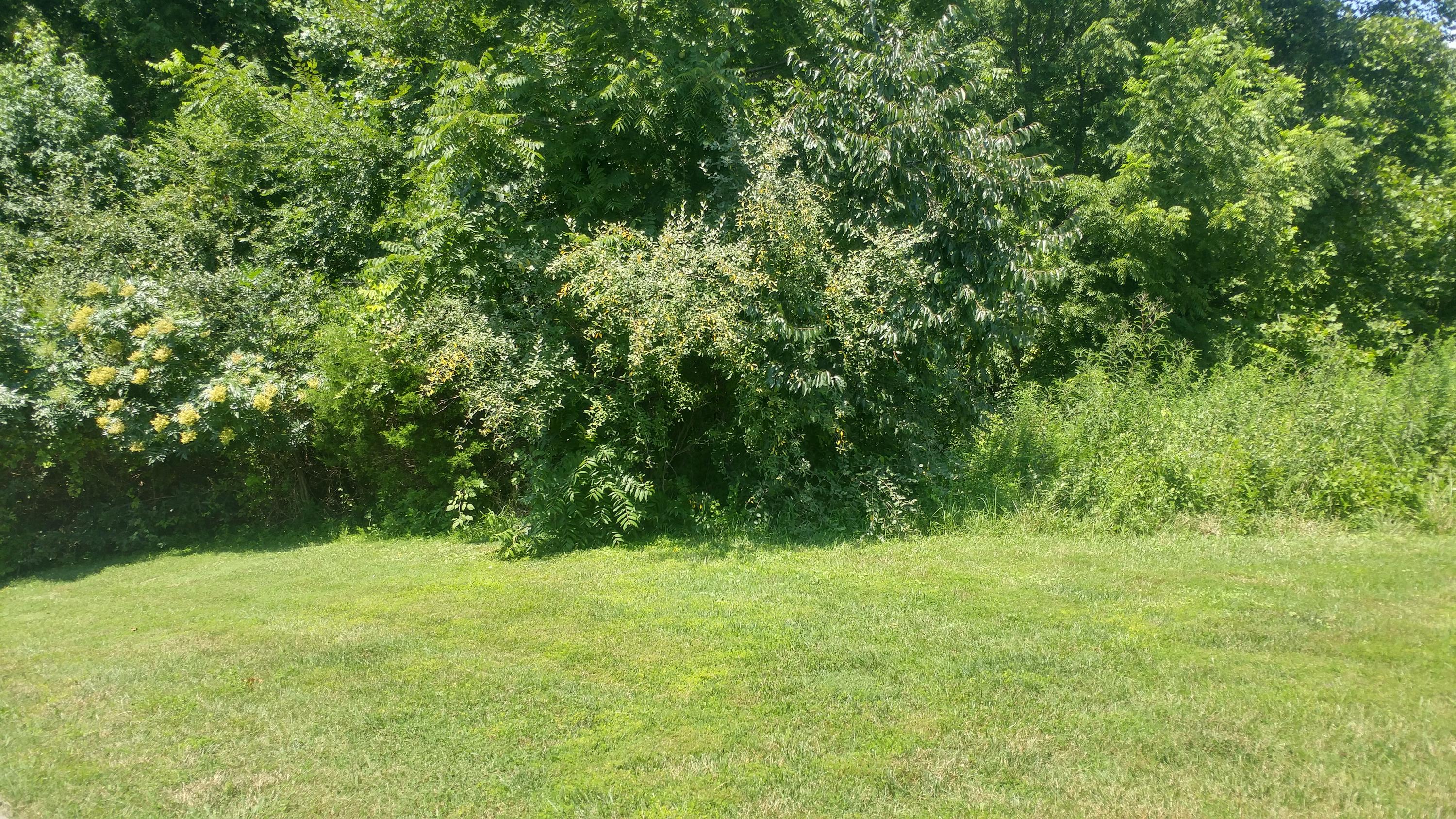 102 Stone Bridge Way Oak Ridge, TN 37830 - Photo 1 of 3 0728191302_HDR