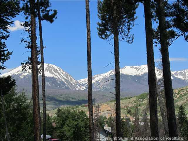 378 Deer Path Road Dillon, CO 80435 - Photo 2 of 6 a view of a porch with a tree