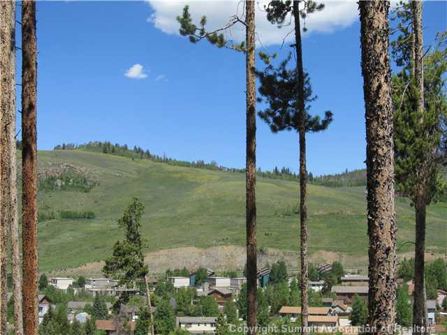 378 Deer Path Road Dillon, CO 80435 - Photo 4 of 6 a view of a lake