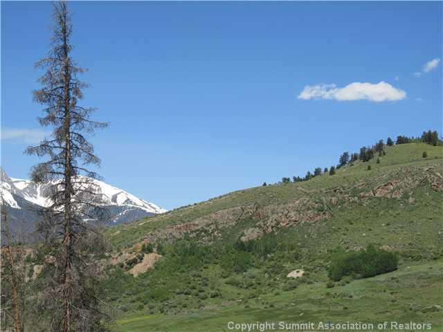 378 Deer Path Road Dillon, CO 80435 - Photo 6 of 6 a view of a mountain range with trees in the background