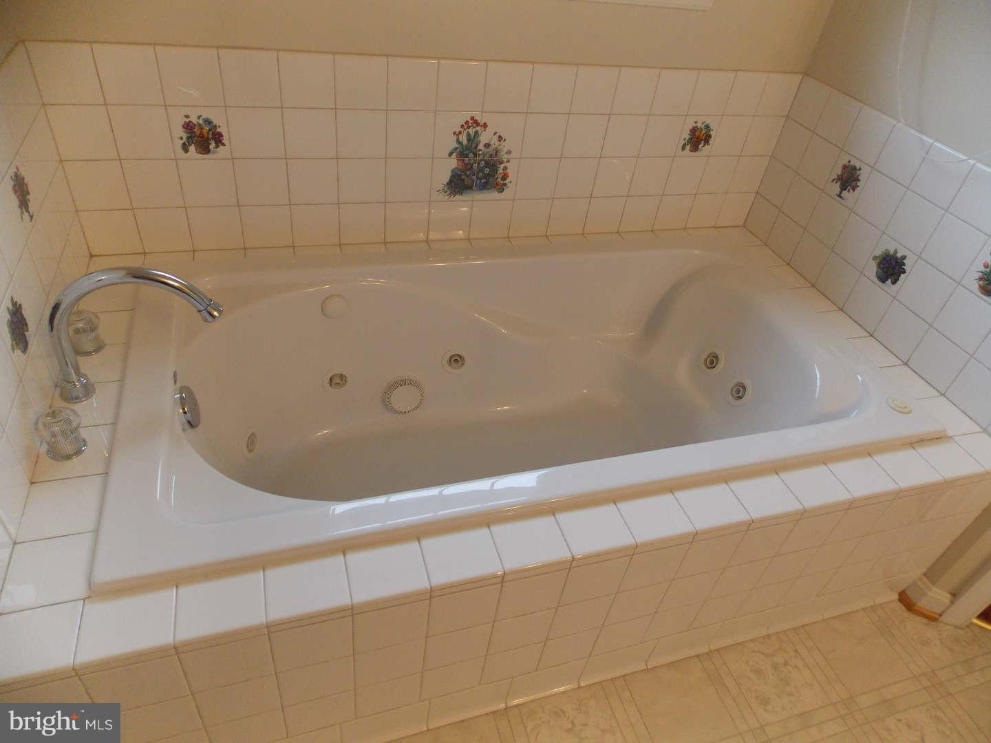 307 Canyon Road Winchester, VA 22602 - Photo 12 of 24 Bath (Master)