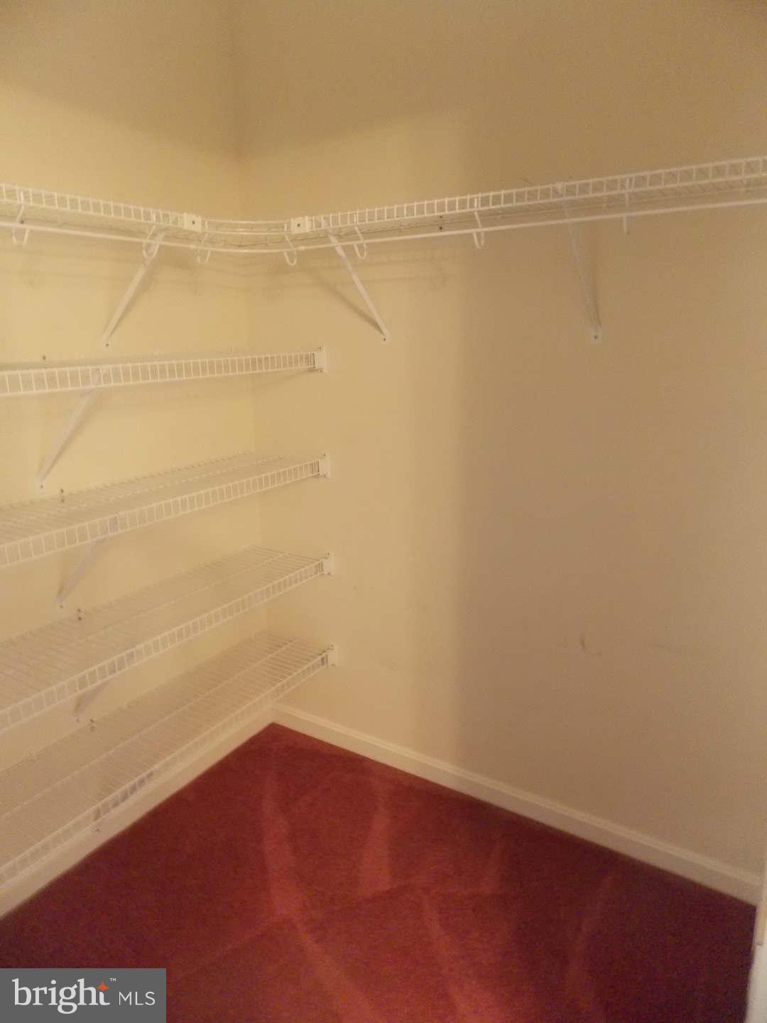 307 Canyon Road Winchester, VA 22602 - Photo 15 of 24 Her Closet