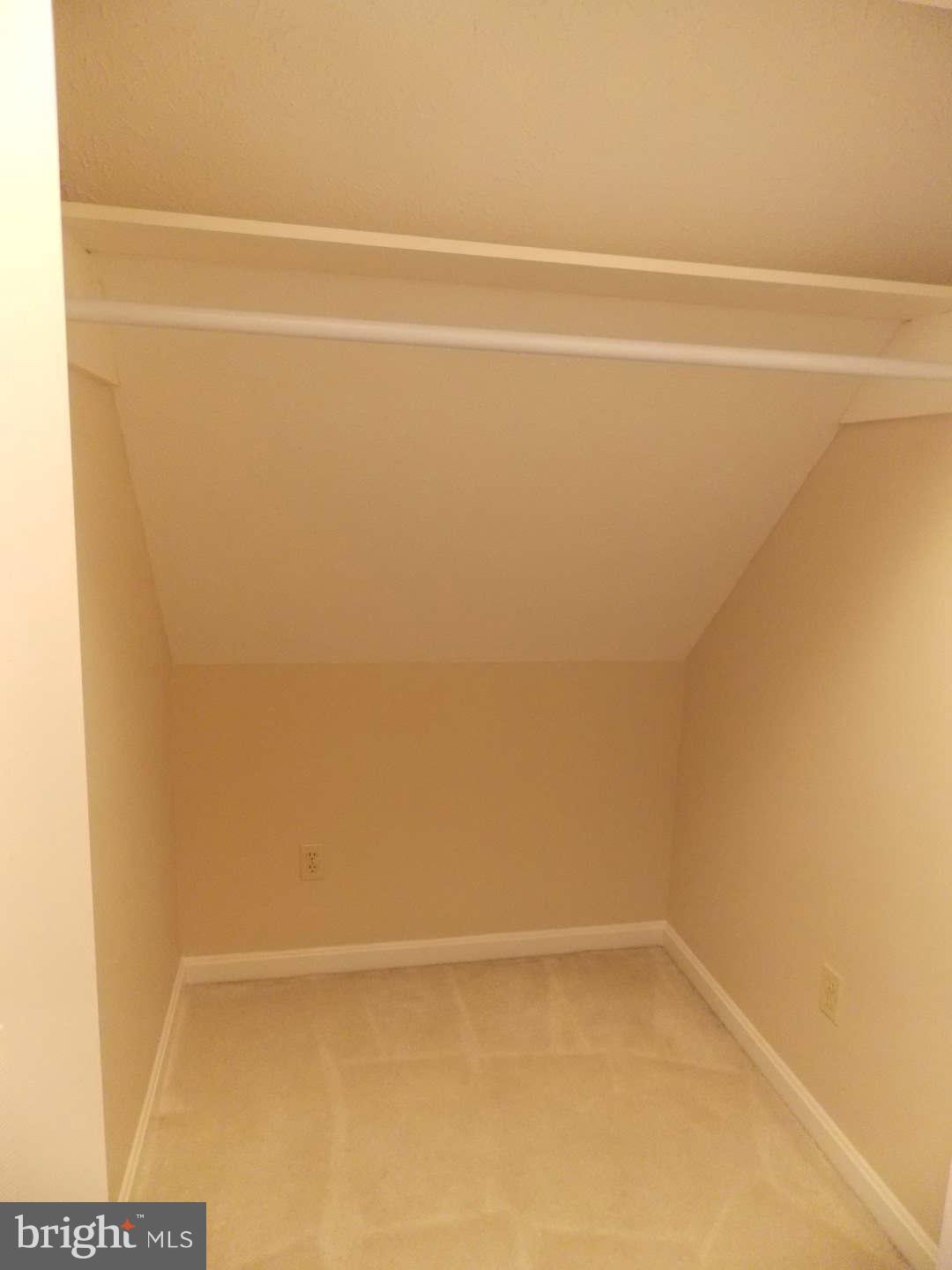 307 Canyon Road Winchester, VA 22602 - Photo 19 of 24 Bedroom Closet