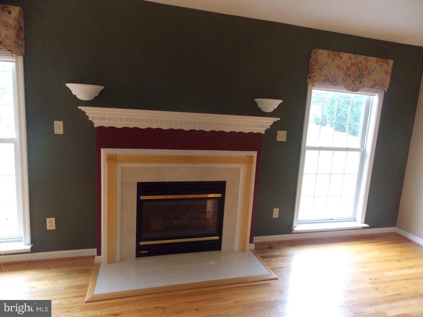 307 Canyon Road Winchester, VA 22602 - Photo 8 of 24 Fireplace