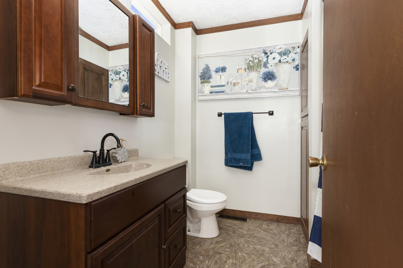 402 Center Street Mazon, IL 60444 - Photo 9 of 15 a bathroom with a sink vanity and toilet