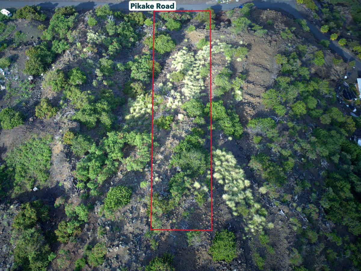 88-1556 Pikake Captain Cook, HI 96704 - Photo 7 of 11 a view of a forest