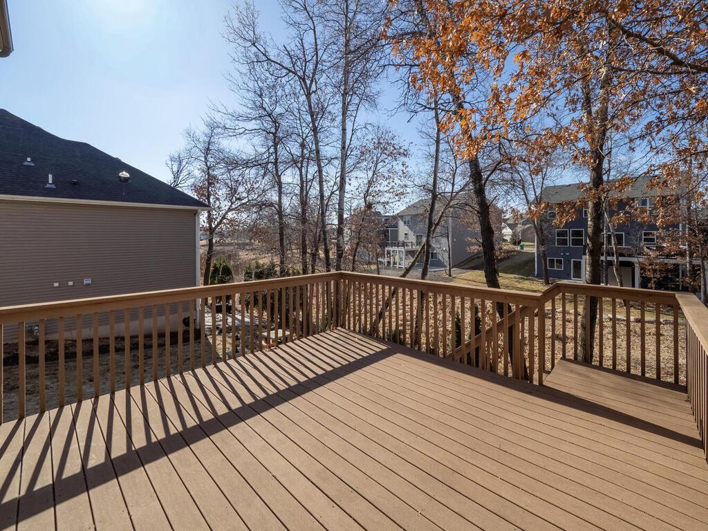 16074 Rhinestone Street Northwest Ramsey, MN 55303 - Photo 55 of 56