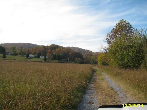 1434 Mountain View Church Road Blue Ridge, VA 24064 - Photo 13 of 14 driveway into property