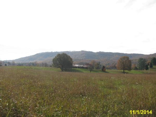 1434 Mountain View Church Road Blue Ridge, VA 24064 - Photo 14 of 14 BEAUTIFUL LAND