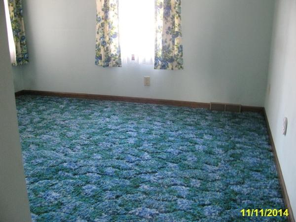 1434 Mountain View Church Road Blue Ridge, VA 24064 - Photo 4 of 14 BEDROOM 1