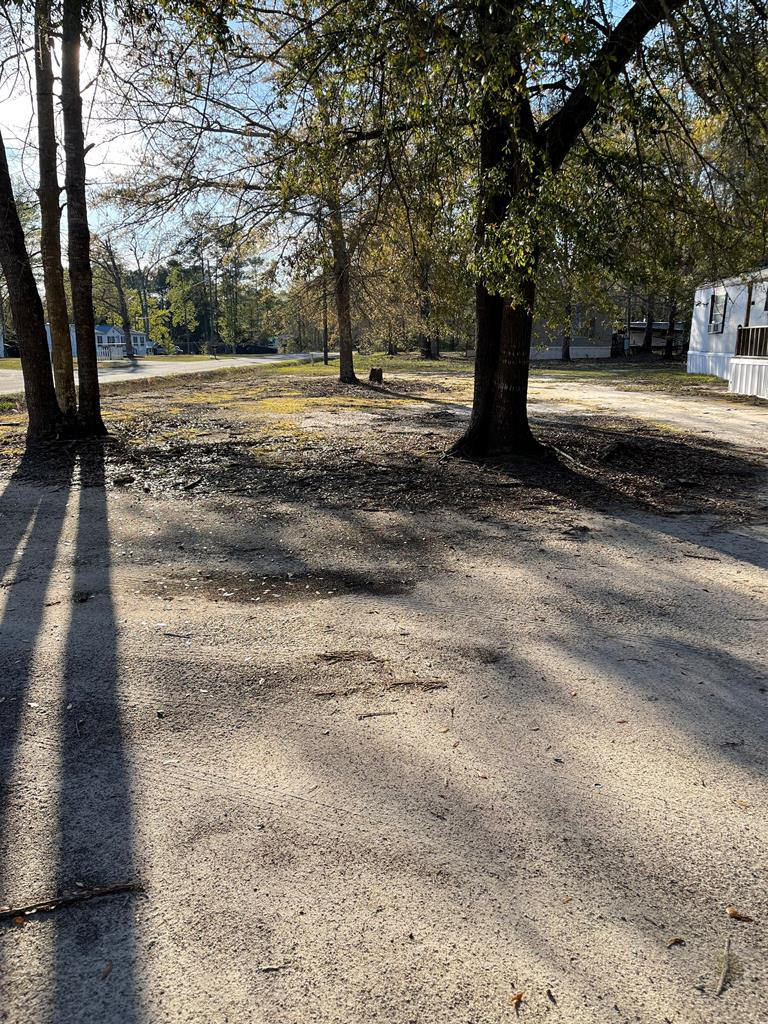 170 Podium Road Cordova, SC 29039 - Photo 5 of 5 Photo 5