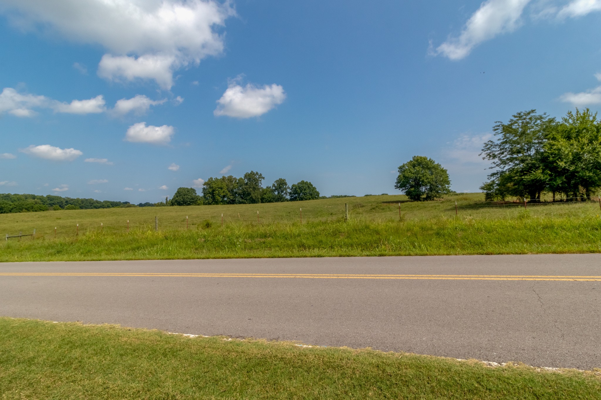 3592 Drake Road Adams, TN 37010 - Photo 36 of 47 a view of a yard with a table and a chair