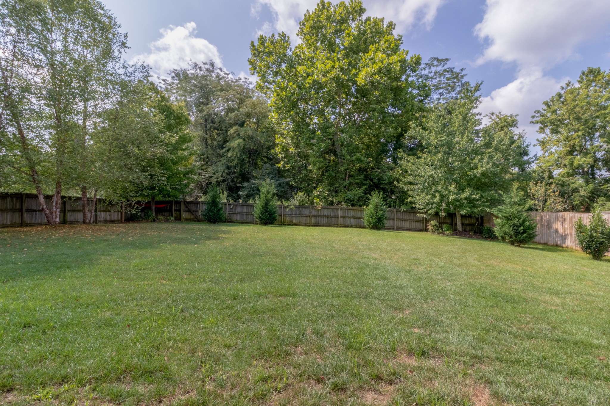3592 Drake Road Adams, TN 37010 - Photo 43 of 47 a view of a field with trees in the background