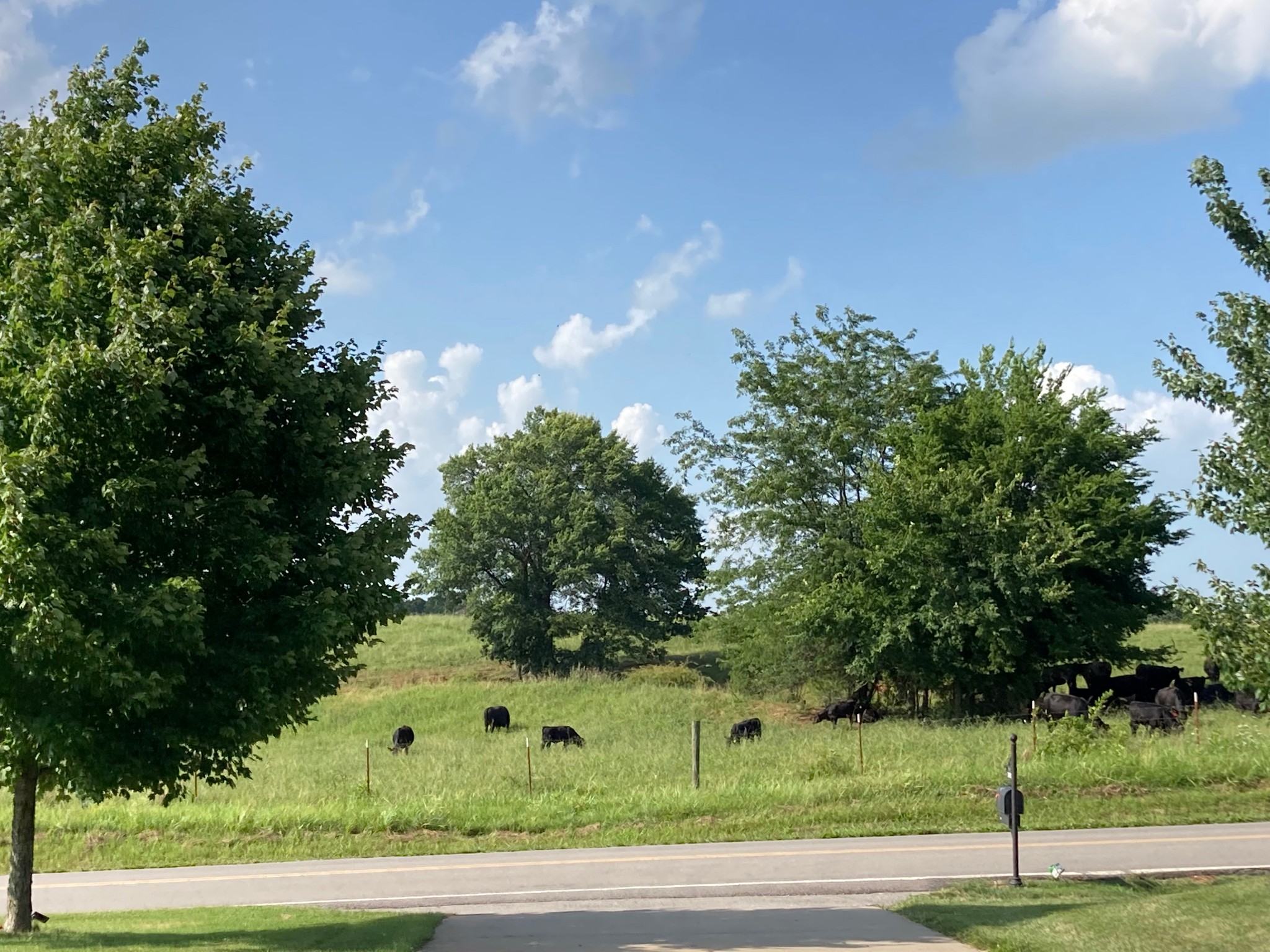 3592 Drake Road Adams, TN 37010 - Photo 6 of 47