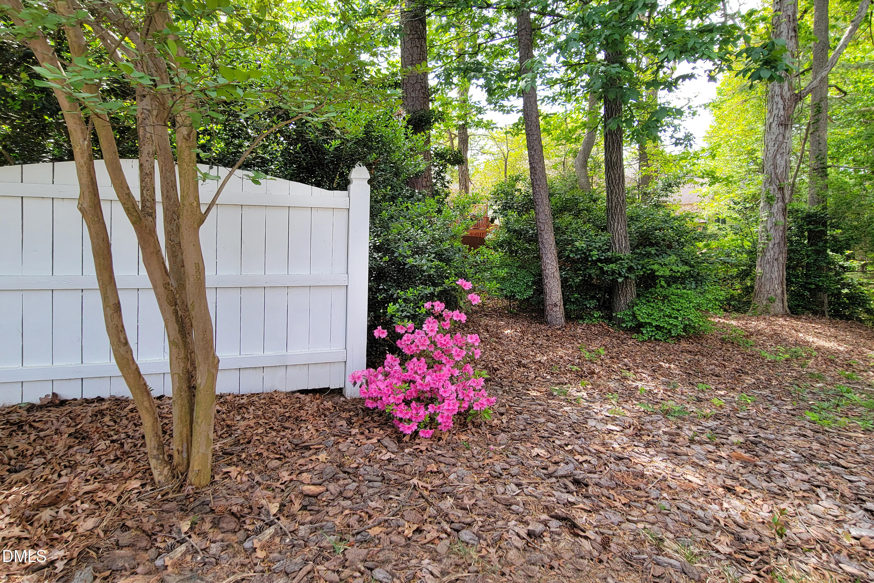 101 Sandy Hook Way Cary, NC 27513 - Photo 11 of 40 a small garden covered with tall trees