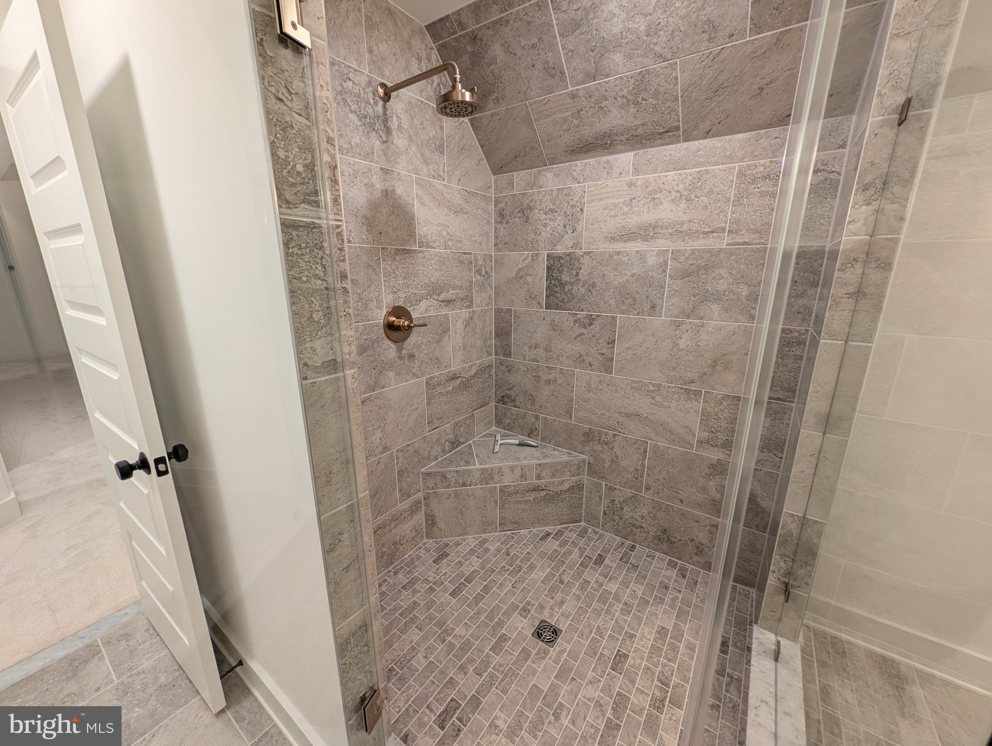 1490 Thurston Road Dickerson, MD 20842 - Photo 10 of 20 Luxury shower in primary bathroom.
