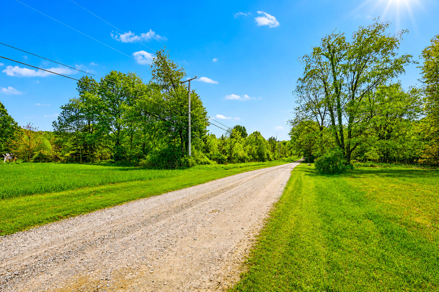 Vl McGuiness Road Dexter, MI 48130 - Photo 8 of 30 8 _ VL McGuiness Road