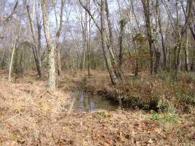 0 Sheep Leg Road Iva, SC 29655 - Photo 3 of 3