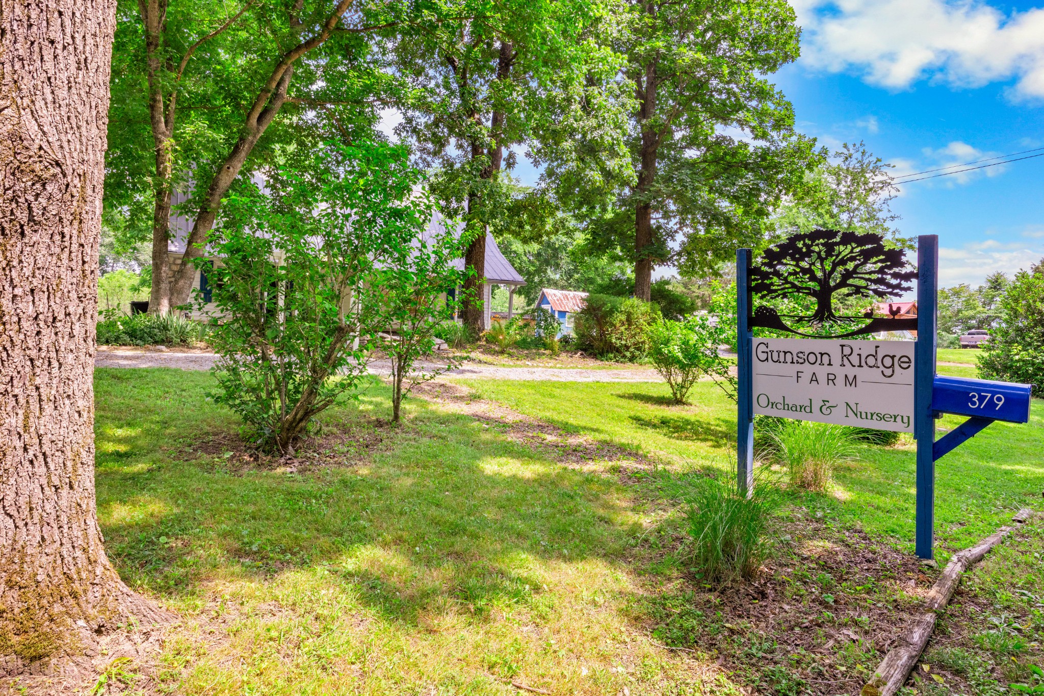 379 Gunson Ridge Road Cumberland City, TN 37050 - Photo 2 of 26 Gallery Image 2