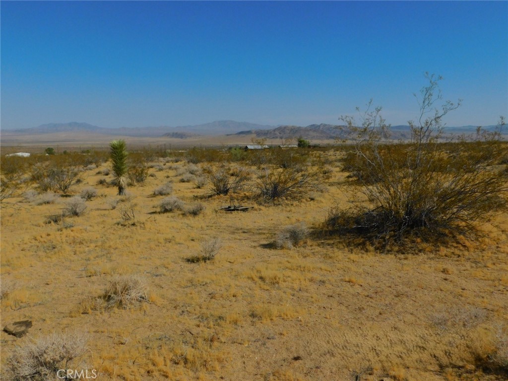 0 Cholla Road Johnson Valley, CA 92285 - Photo 15 of 15 Gallery Image 15
