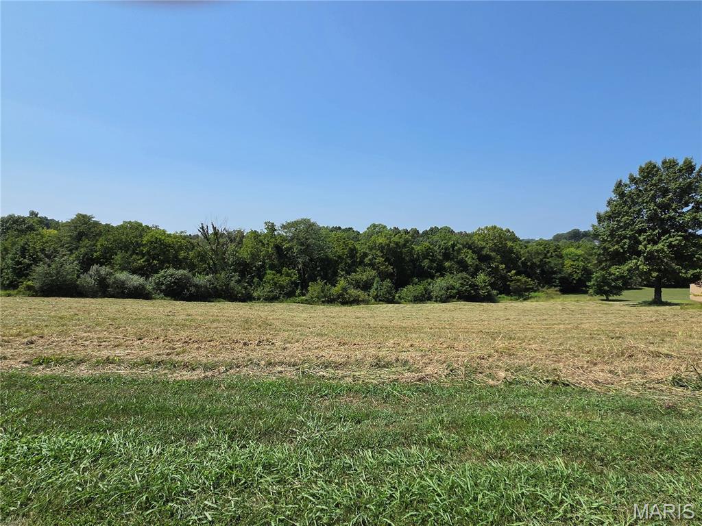 0 Ridge View Lane Jackson, MO 63755 - Photo 1 of 11 Gallery Image 1