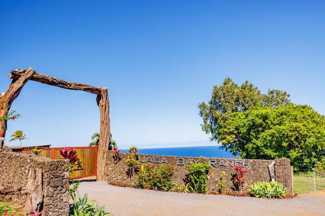 a street sign on a field next to a road