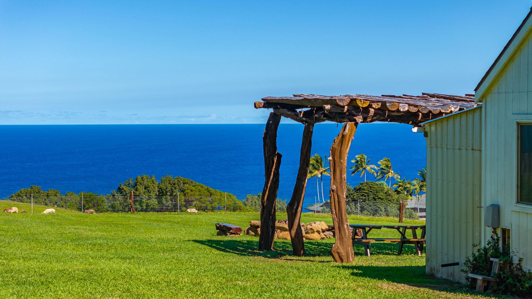 300 Mehana Road, Unit B Haiku, HI 96708 - Photo 11 of 46