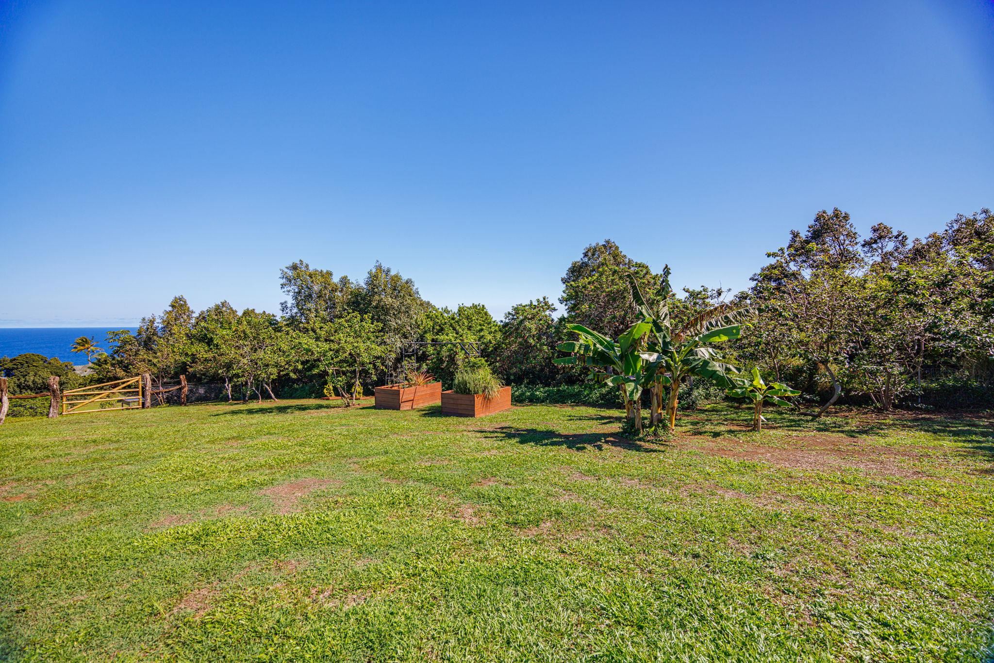 300 Mehana Road, Unit B Haiku, HI 96708 - Photo 34 of 46