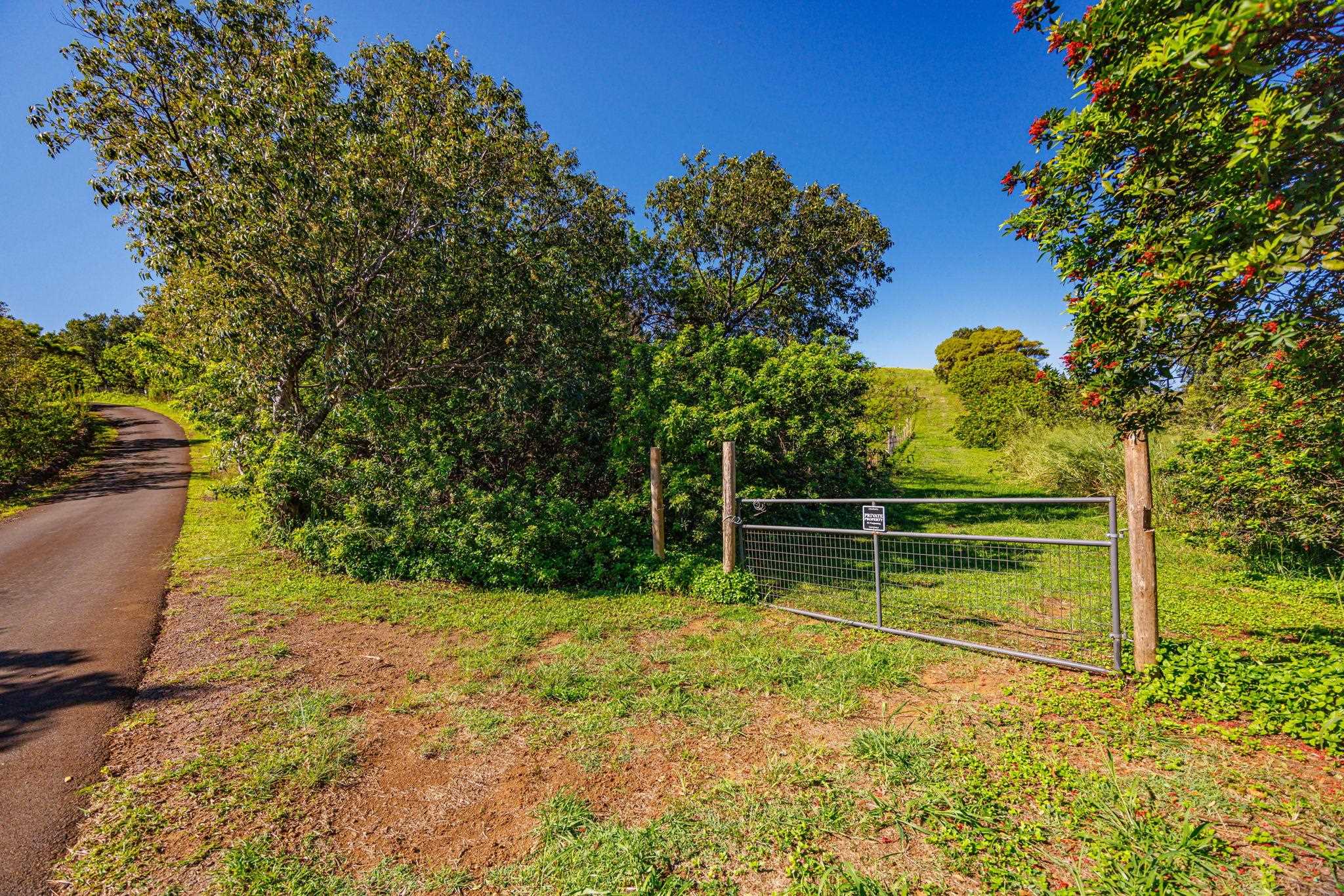 300 Mehana Road, Unit B Haiku, HI 96708 - Photo 37 of 46