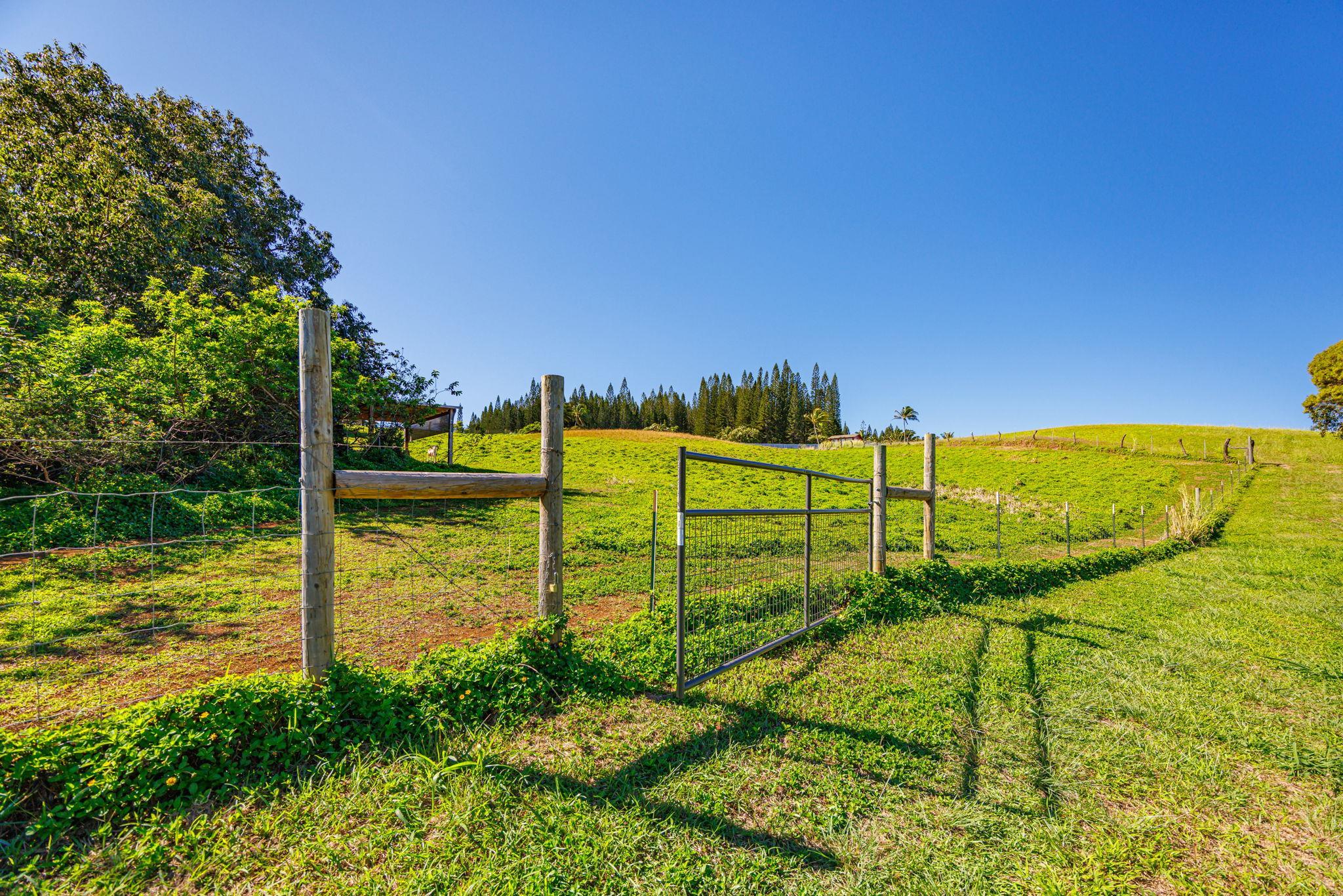 300 Mehana Road, Unit B Haiku, HI 96708 - Photo 38 of 46
