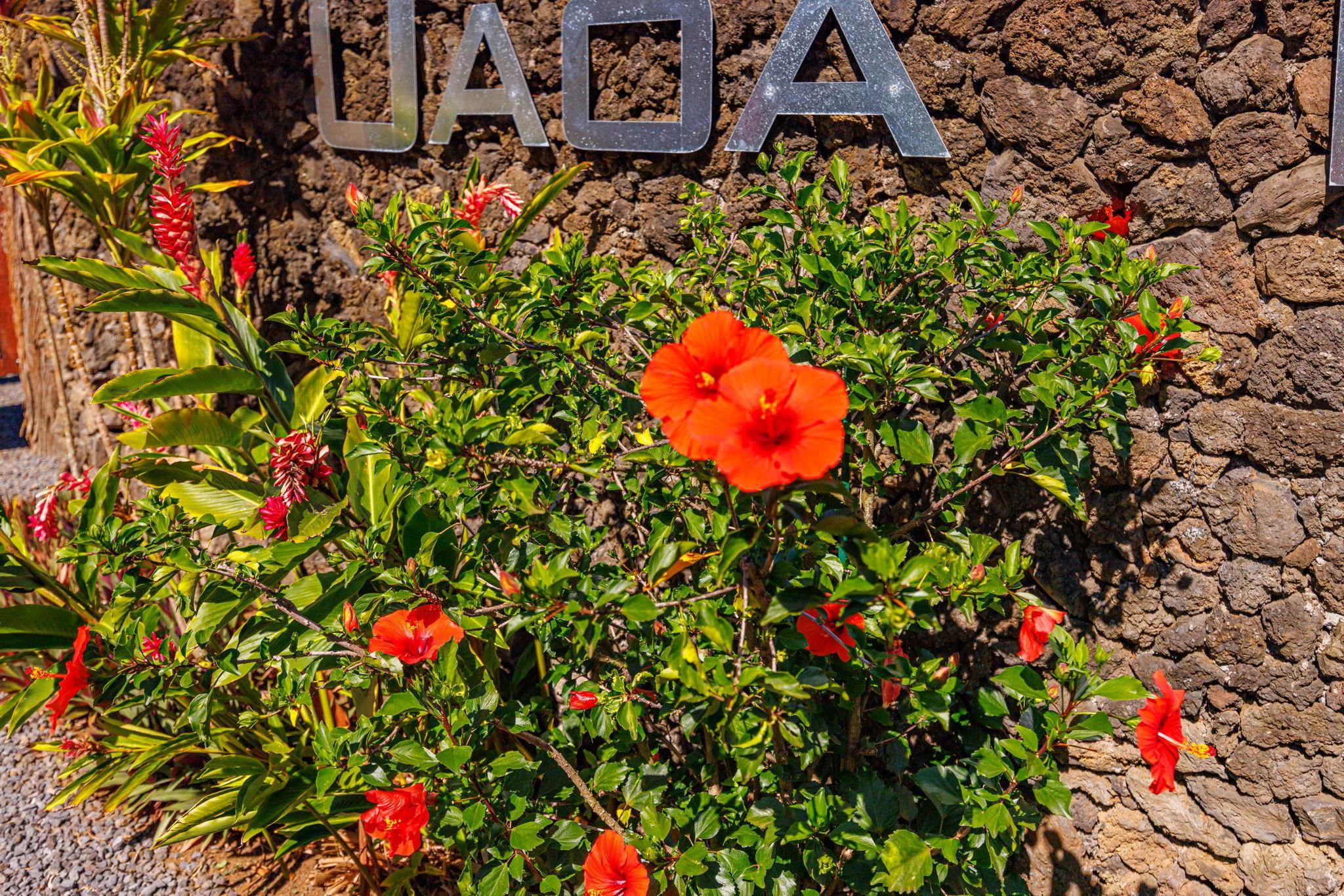 300 Mehana Road, Unit B Haiku, HI 96708 - Photo 45 of 46