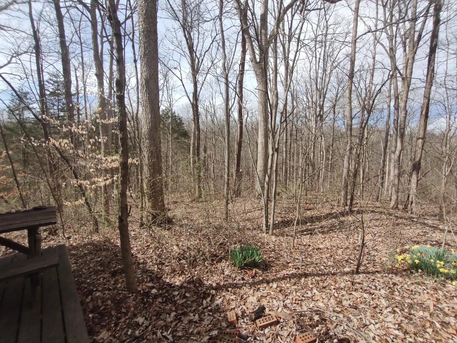 10641 North Hicks Ridge Road Canaan, IN 47224 - Photo 21 of 62 Gallery Image 21