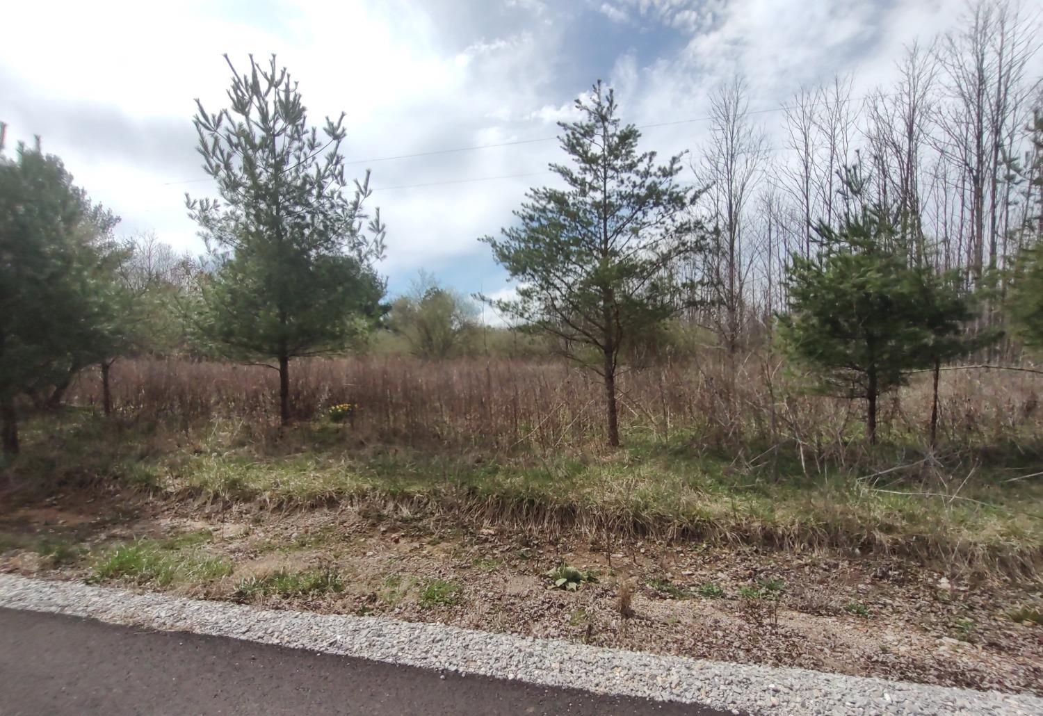 10641 North Hicks Ridge Road Canaan, IN 47224 - Photo 38 of 62 Gallery Image 38