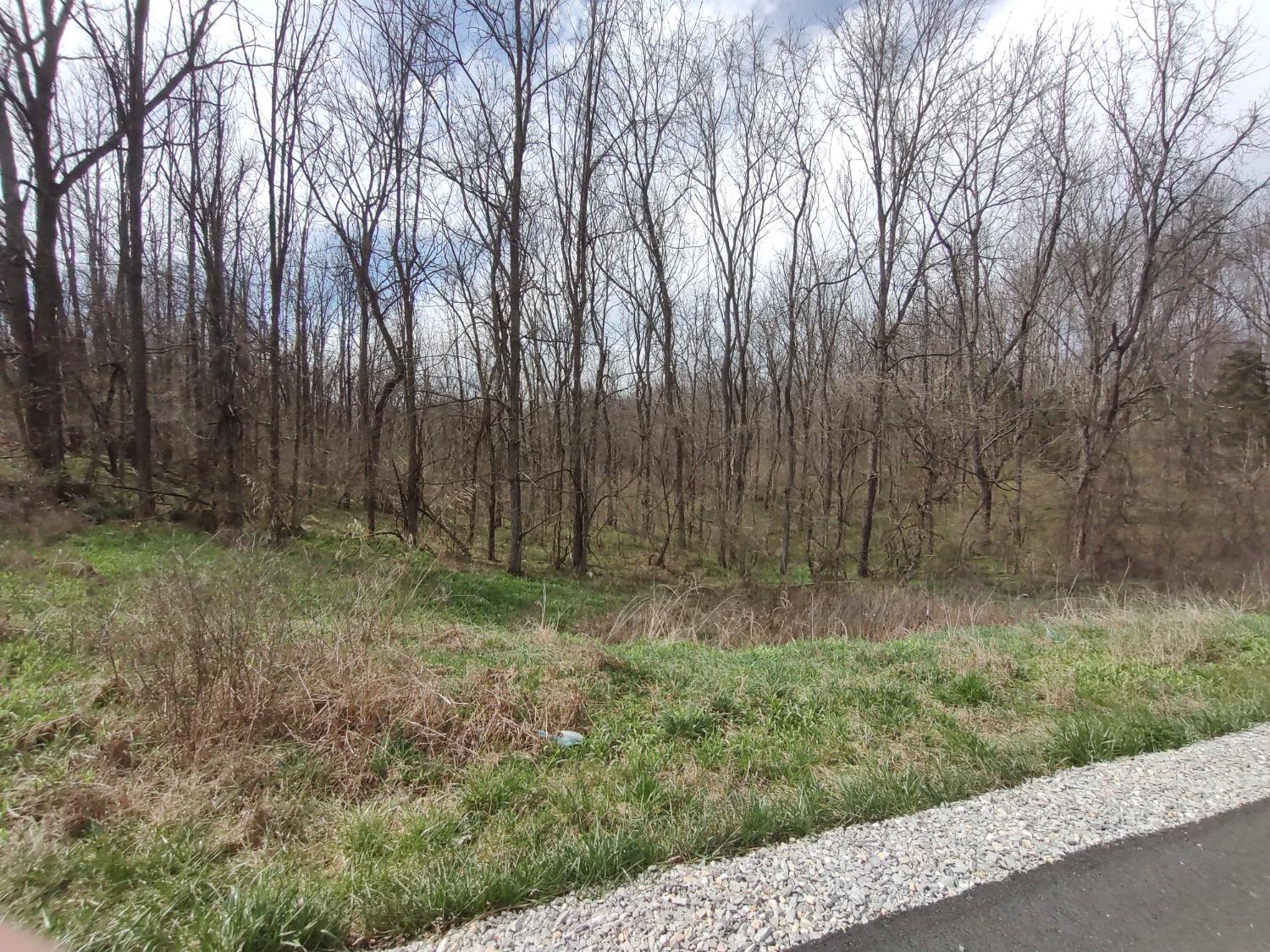 10641 North Hicks Ridge Road Canaan, IN 47224 - Photo 39 of 62 Gallery Image 39