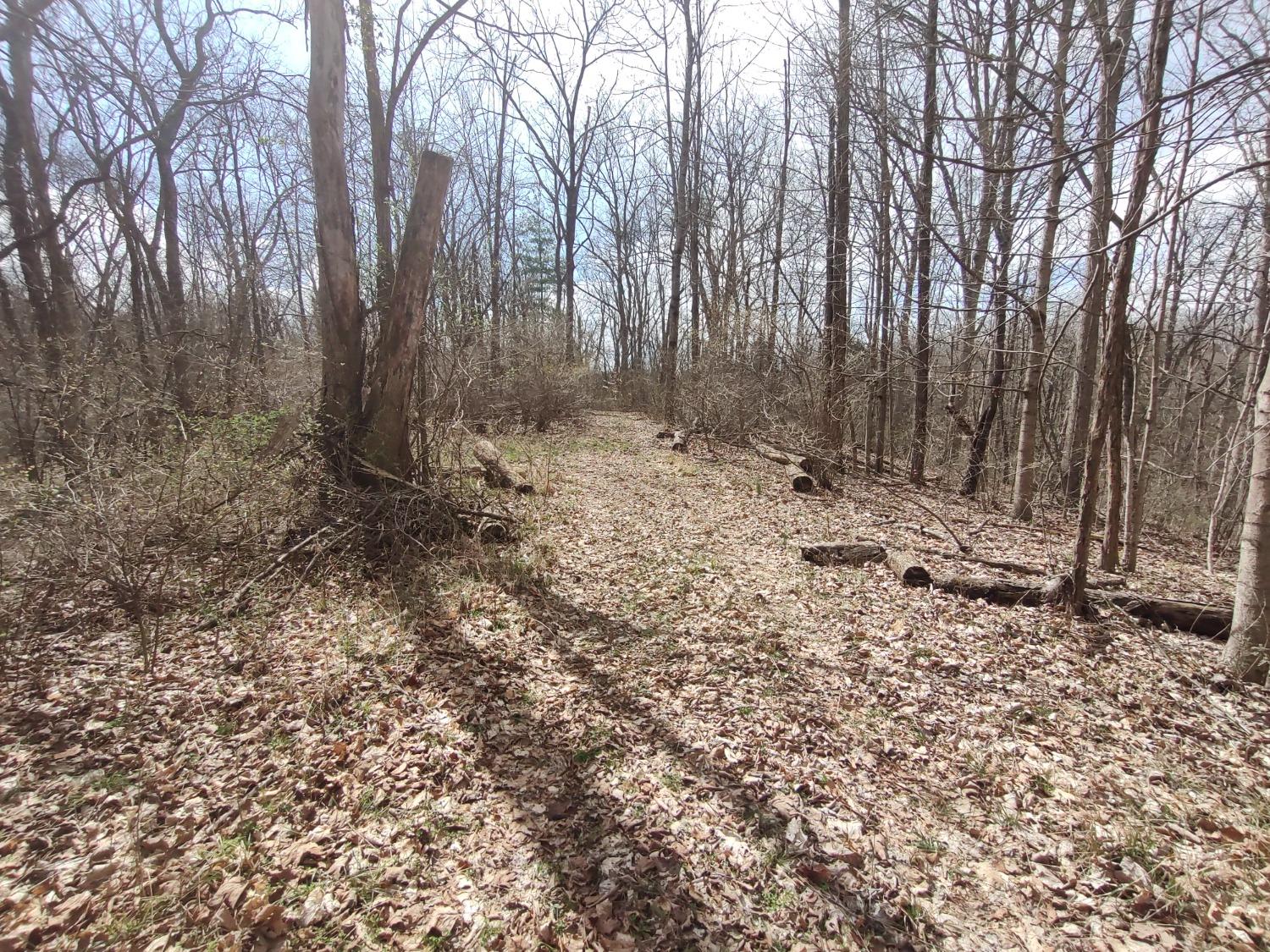 10641 North Hicks Ridge Road Canaan, IN 47224 - Photo 51 of 62 Gallery Image 51