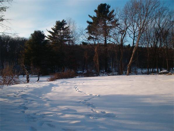 54 Packard Road Stow, MA 01775 - Photo 22 of 26
