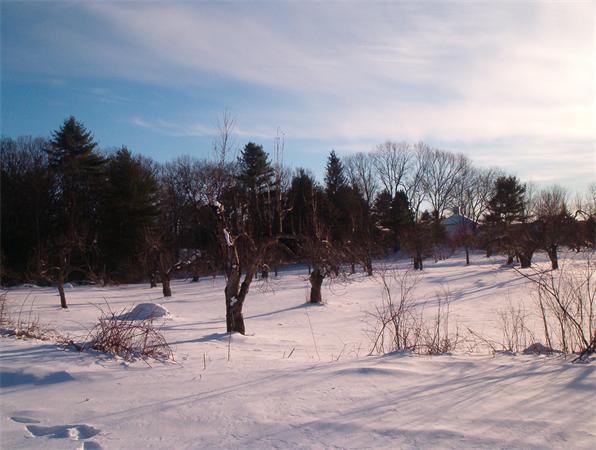 54 Packard Road Stow, MA 01775 - Photo 5 of 26