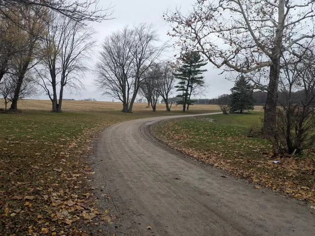 a view of a yard with trees