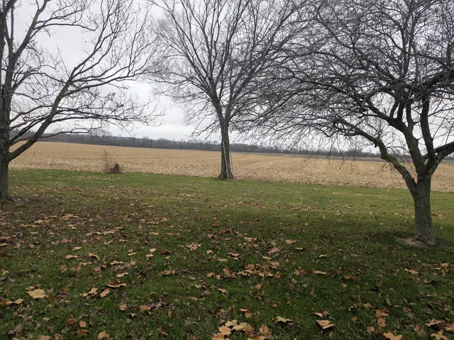 a view of a yard with a house