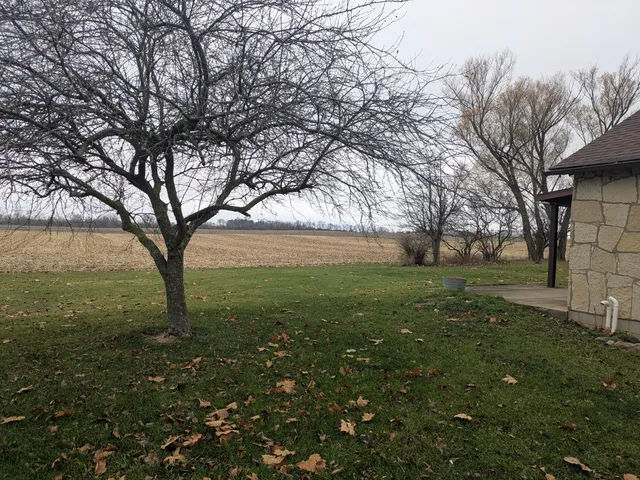 a view of outdoor space with trees