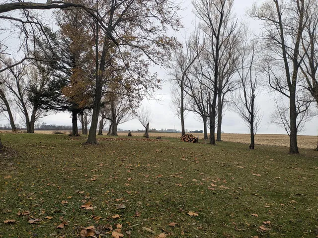 a yard with lake view