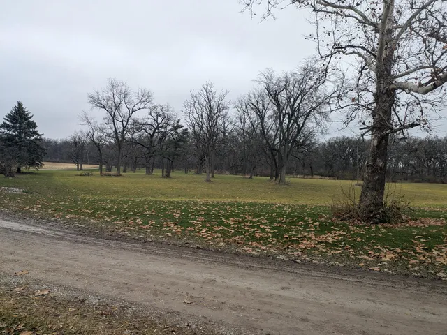 a front view of a house with yard